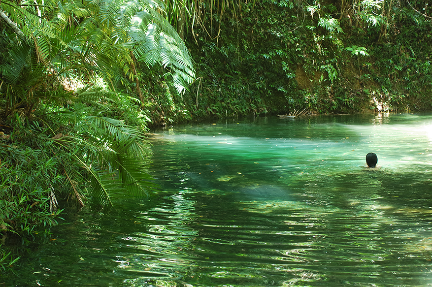 Daintree National Park - Queensland